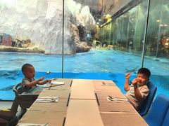 -帝企鹅自助餐厅•儿童岛•真企鹅(长隆企鹅酒店)