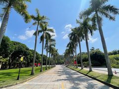 -厦门大学(思明校区)