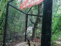 -海南热带野生动植物园