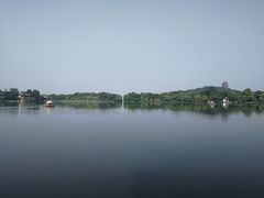 -西湖外事游船(花港观鱼码头)