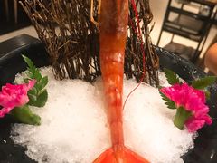 阿根廷红虾-煲宫(华润万象城店)