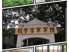 -长洲岛