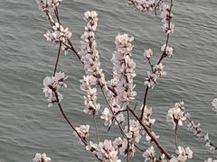 -颐和园