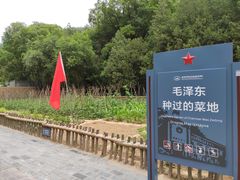 -延安杨家岭革命旧址