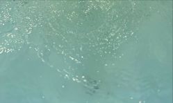 -婴喜爱(长春新城吾悦店)