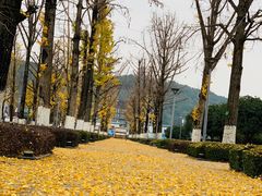 -百林公园-两江幸福广场