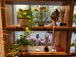 -T.1 hair salon烫染接发