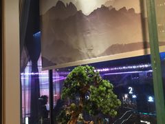 -享月汤皇·海鲜小火锅·聚会(曲江创意谷店)