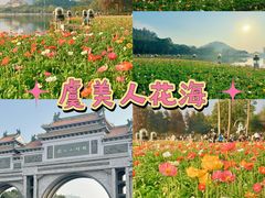 -顺峰山公园