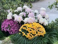 -杭州植物园