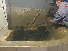 -邹记酸菜鱼