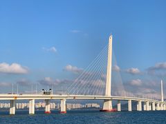 -宝安西湾红树林湿地公园