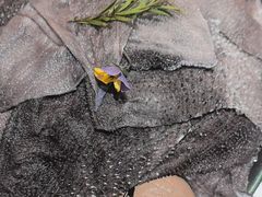 -千牛将·鲜牛肉火锅(开元路店)