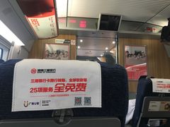 -岳阳东站