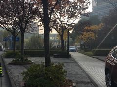 -上海中医药大学附属曙光医院(东部)