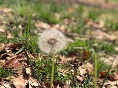 -ZEMOCAFE·FUSION FOOD(西交利物浦店)