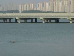 -丁香湖公园