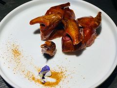 脆皮乳鸽-粤凤佬