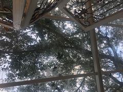 -VVG Hideaway 好样秘境