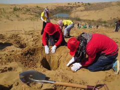 -恩格贝生态旅游区