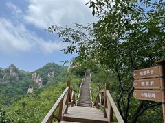 -大岭沟猕猴桃谷风景区