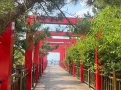 -烟台自然博物馆