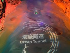 -沈阳海洋探索中心