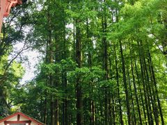 -东坡赤壁风景名胜区