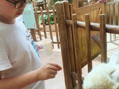 -杭州开元森泊度假乐园