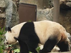 -香港海洋公园