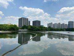 -南翔镇银翔湖公园