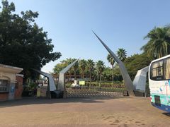 -星海公园(番禺区)