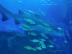 -成都浩海立方海洋公园