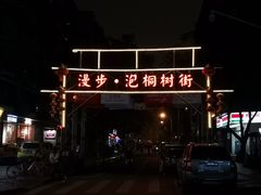 -泡桐树街