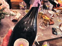 -Wine Universe 宇宙酒馆