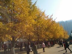 -辽宁大学(崇山校区)