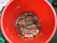 -QQ海鲜餐厅