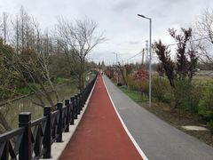 -上海长兴岛郊野公园