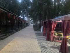 -洪湖家庭农场·团建·露营·会议