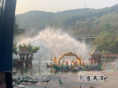 -西双版纳原始森林公园