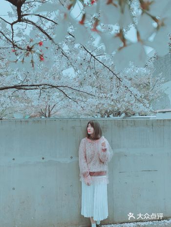 龙美术馆 | 魔都春天赏樱季️