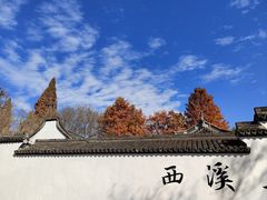 -西溪国家湿地公园