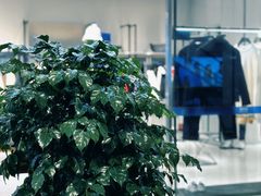 -百伦百货(简阳店)