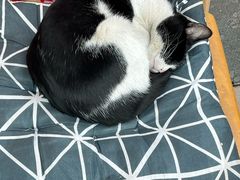-哈尔滨北方森林动物园