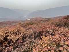 -周口店坡峰岭风景区