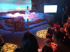 -沈阳海洋探索中心