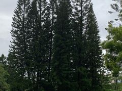 -人民公园(罗湖区)