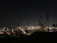 -长虫山生态公园风景林