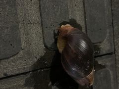 -白石龙音乐公园