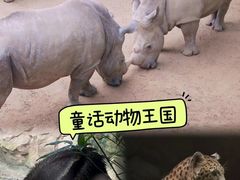 -长鹿旅游休博园